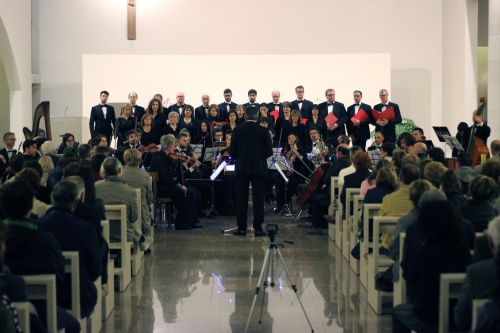 IMG 4531